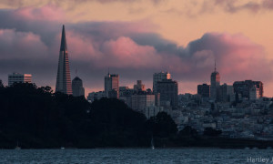 San Francisco from the water