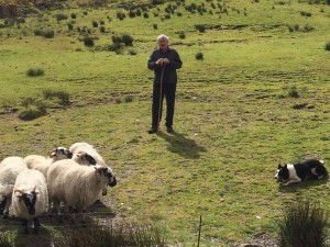 The shepherd and his dog