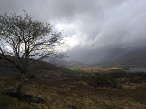 Killarney National Park