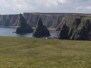  The rugged area of Duncansby Head