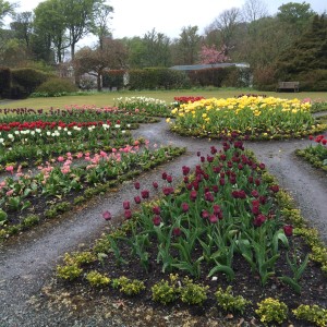 The garden at Dunvegan Castle (in the pouring rain)