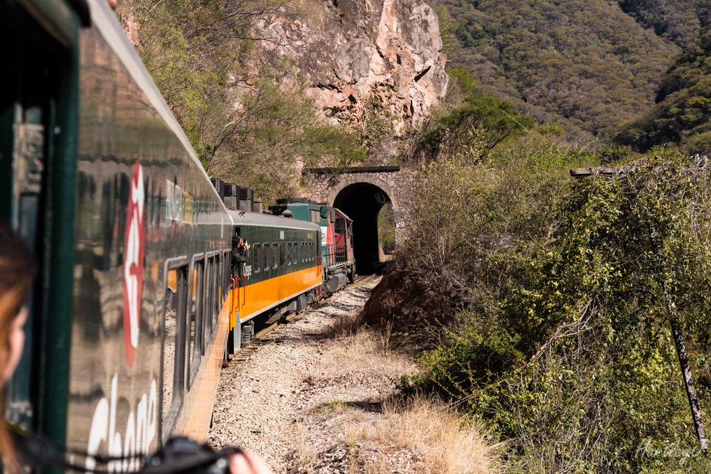 El Chepe, the train, going through one of the 86 tunnels. ( There are also 39 bridges)