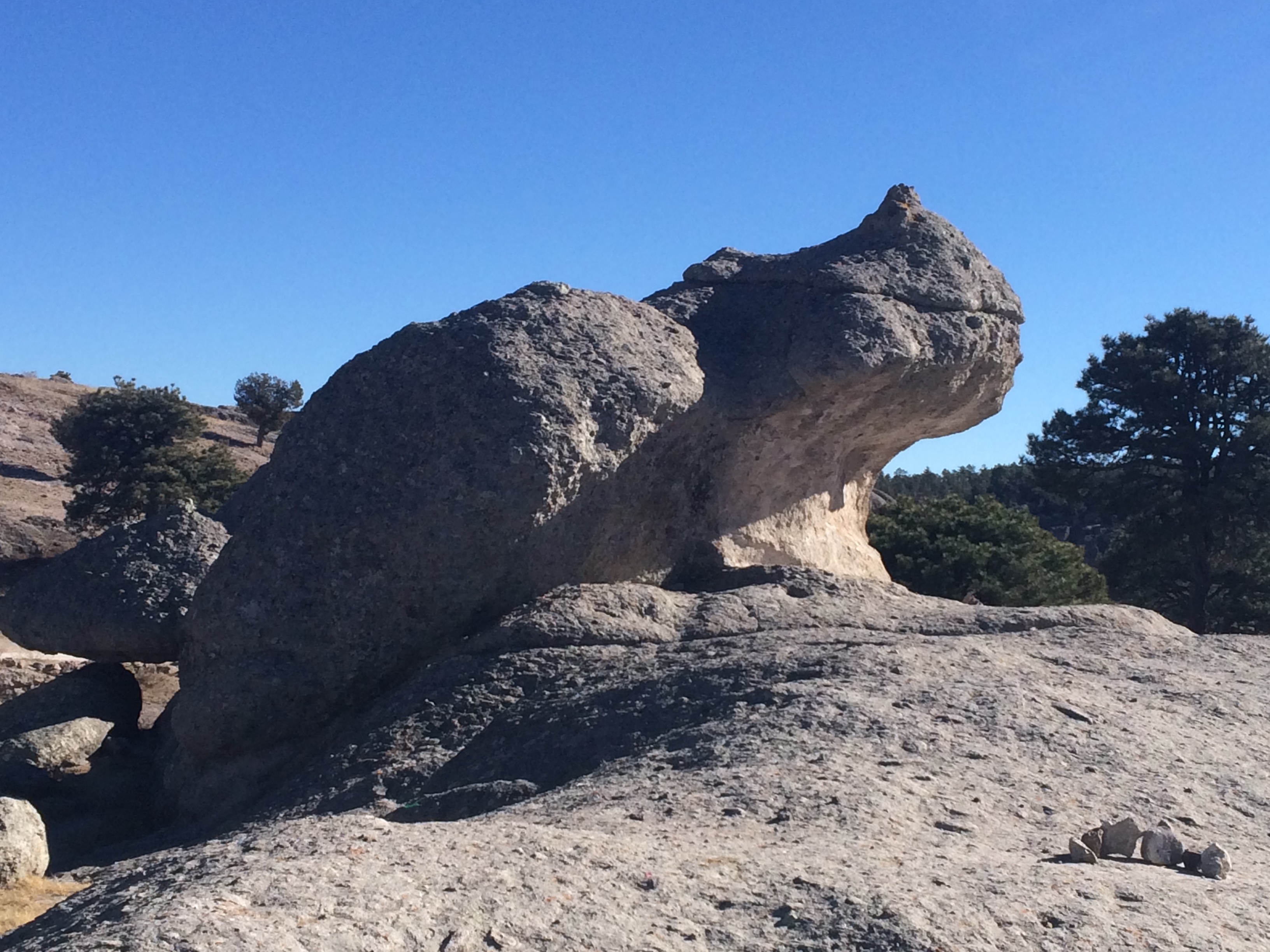 Rock formation that looks like a frog ( I thought it was a dinasaur)